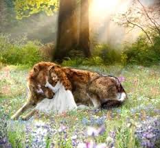 renesmee トワイライト おおかみ 動物