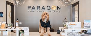 Последние твиты от wellness sport&spine (@wellsport_spine). Physical Therapy Robbinsville Nj Paragon Spine Sport Wellness