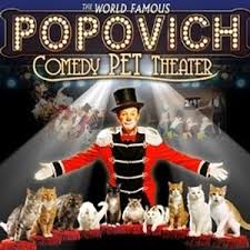 En réservant avec tripadvisor, vous pouvez annuler jusqu'à 24 heures avant le circuit. Las Vegas Family Show Gregory Popovich Comedy Pet Theater Youtube