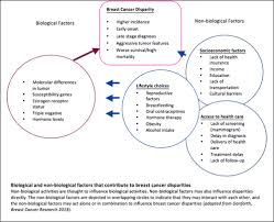 All data and statistics are based on publicly available. Breast Cancer Disparities Komen Perspectives The Komen Blog