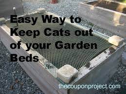 Cheap And Easy Solution To Keep Cats Out Of Your Garden Garden Beds Cat Repellant Keep Cats Out Of Garden