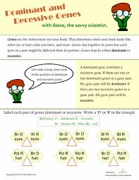 Dominant And Recessive Genes Worksheet Education Com Biology Worksheet High School Science Class Biology College