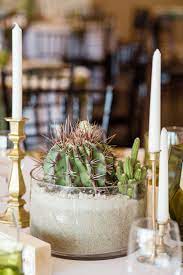 This is simply a political weapon designed to beat down mr. Cactus Centerpieces For Modern Desert Wedding