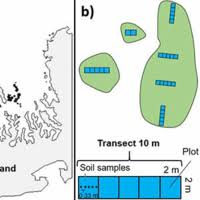 Take advantage of our royers.com flowers promo code and get the discounts. A New Dataset On Plant Occurrences On Small Islands Including Species Abundances And Functional Traits Across Different Spatial Scales