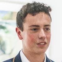 The House Martin Colony