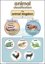 They also complete a chart for animal phyla characteristics. The Earth With Animal Classifications Printable Animal Classification Le Animal Classification Animal Classification Worksheet Animal Classification Activity