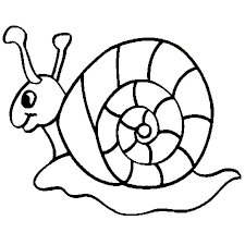 Son corps est bleu gris, sa crinière et sa queue sont un peu plus foncées. Epingle Sur Pokemon