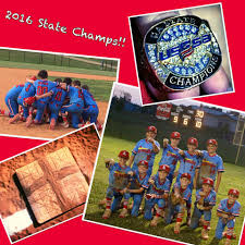 Sandlot 10U Baseball Takes Second at World Series, 12U Softball State  Runner-Up