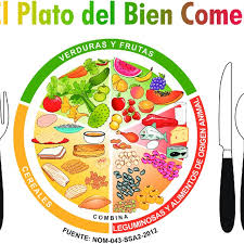 We did not find results for: El Plato Del Bien Comer Mexico Secretaria De Salud 2013 Download Scientific Diagram