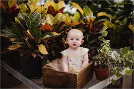 Hours may change under current circumstances Klein S Greenhouse Baby Session Madison Wisconsin Twig Olive