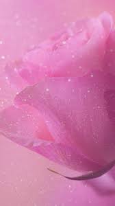 Rose gold wallpaper glitter wallpaper wallpaper backgrounds wallpapers golden wallpaper colorful backgrounds gold sparkle background download premium vector of gold rectangle frame on glittery background vector by ning about pink glitter invitation, golden frame, blank, blank. Pink Rose Glitter Wallpapers Top Free Pink Rose Glitter Backgrounds Wallpaperaccess
