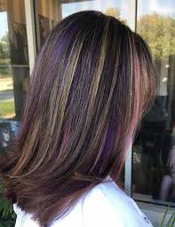 Discover the sexiest black hair with highlights ideas that will have you running to the salon in no time. 20 Pretty Purple Highlights Ideas For Dark Hair