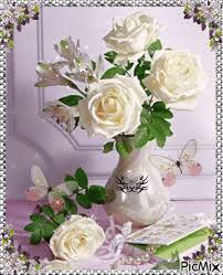 White roses. - PicMix