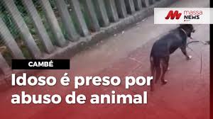 Idoso é preso após ser flagrado fazendo sexo com cadela em Cambé, PR - ONG  Olhar Animal