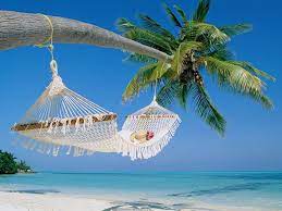 Visit Kerala Star Of Southern India Beach Hammock Beach Wallpaper Dream Vacations