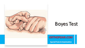 Image result for Elson Extensor Tendon Test