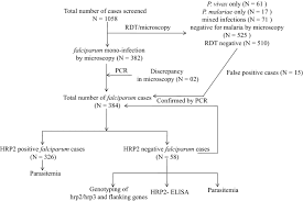 Malaria parasites produce proteins called antigens. High Proportions Of Pfhrp2 Gene Deletion And Performance Of Hrp2 Based Rapid Diagnostic Test In Plasmodium Falciparum Field Isolates Of Odisha Springerlink