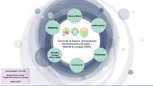 Cierre Sutura Ectocraneal by