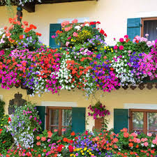 Maybe you would like to learn more about one of these? Best Balcony Garden Design Ideas For 2021 Design Cafe