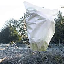 We did not find results for: The Thickest 70g M Garden Fleece Jacket For Plants Frost Protection 90 110cm Warm Worth Plant Cover Bags Shrubs Trees Jacket Protecting Fruit Trees Potted Plants From Freezing Animals Eating M Buy Online In Dominica