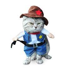 After some time, you learned that your new neighbor is a scary western cowboy cat! Cowboy Cat Costume Meowingtons