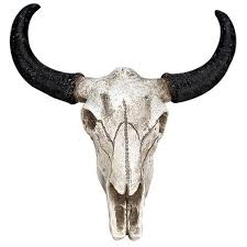 We build and sale beautiful longhorn shoulder mounts. Resin Longhorn Cow Skull Head Wall Hanging Decor 3d Animal Wildlife Sc Positivechanges101