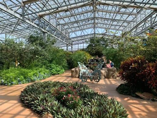 Elvis Butterfly Garden