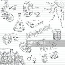 We did not find results for: Life In A Petri Dish Doodle Clipart Image