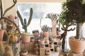 Most items will ship within 7 days, but some may take longer due to odd circumstances. Cactus Store Guys And Friends In Their Cactus World The Selby