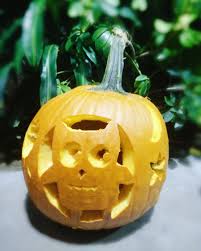 Waterloo Association of Geography Students [WAGS]