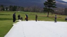 Image result for how are golf course superintendents controlling of types in their ultradwarf greens