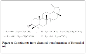 Image result for Dactyladenia