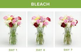 You can prepare stems, both bought ones and those freshly cut from the garden, so that they'll last as long as possible. How To Make Flowers Last Longer 9 Tricks Proflowers