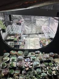Best grow light for grow tent. What Is A Grow Tent And Do You Need It Unusualseeds