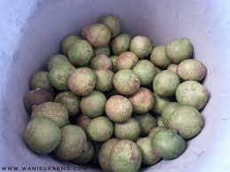 The next fruit i present to you is the mata kuching, literally, cat's eye. Buah Mata Kucing Brazil Atau Longan Brazil