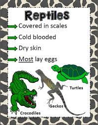 Animal Poster For Reptiles Life Science Activities Have Fun Teaching Science Words