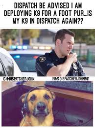 Find more ways to say dispatcher, along with related words, antonyms and example phrases at thesaurus.com, the world's most trusted free thesaurus. Meme Dispatch Home Facebook