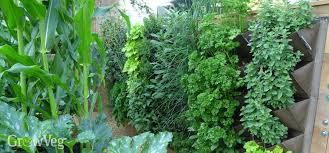 Maybe you would like to learn more about one of these? Ideas For Small Gardens Growing Vegetables Vertically