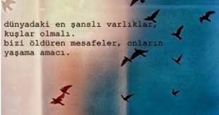 Pasamania Guzel Soz Ozlu Sozler Alinti Sozler