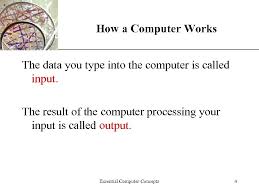 A data file contains instructions for a computer on how to perform a specific Xp Essential Computer Concepts 1 Course Objectives