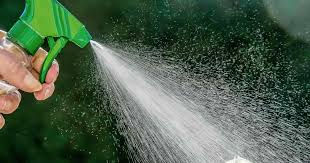 Neem Oil Insecticide Natural Pesticide For Plants