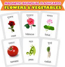 Flowers name in marathi with images Top Flowers Name In Marathi With Images Top Collection Of Different Types Of Flowers In The Images Hd