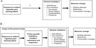 Son of nik mohamad nik taib and nik aminah haji wan musa husband of private father of nik nabeelah nik ibrahim; Relationship Between Mediators And Behavior Change A Scope Of Download Scientific Diagram