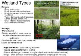 Understanding which type of wetland you have is integral to the restoration process and will help define appropriate goals for your. Types Of Wetlands Wetland Ecology Vegetation