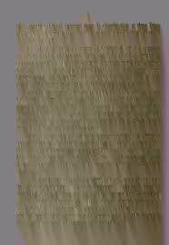 Image result for Xylopia katangensis