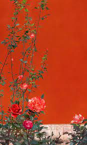 today s small courtyard is a note about the forbidden city今天的小院子是关于故宫的笔记 in 2021 art asian style art painting