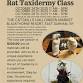 Rat Taxidermy Class event image