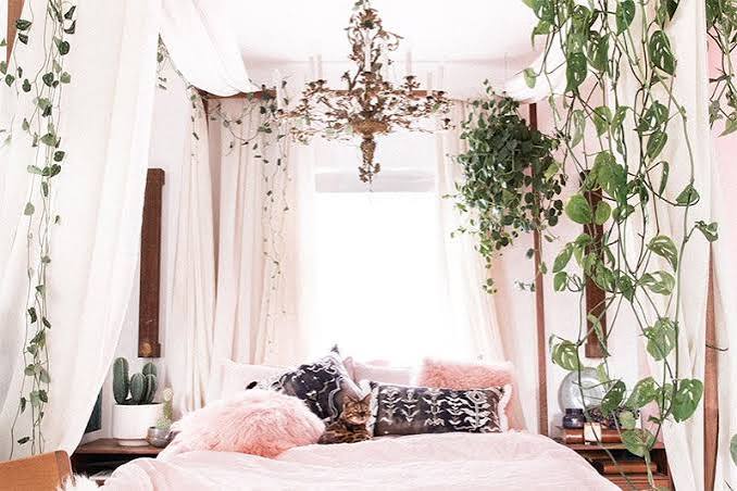 Home Interior Design Ideas with Houseplants | Hunar Online