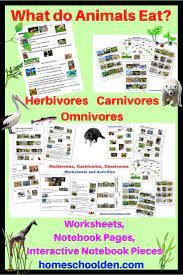 Herbivore Carnivore Omnivore Worksheets And Activities What Do Animals Eat Wh Carnivores Herbivores Omnivores Herbivore And Carnivore Animal Classification