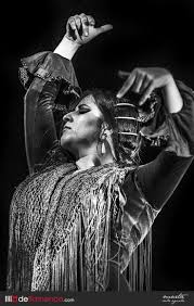 Pin By Corrine Bundschuh On Flamenco Flamenco Dancers Flamenco Dancing Flamenco